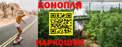 крисы Можайск