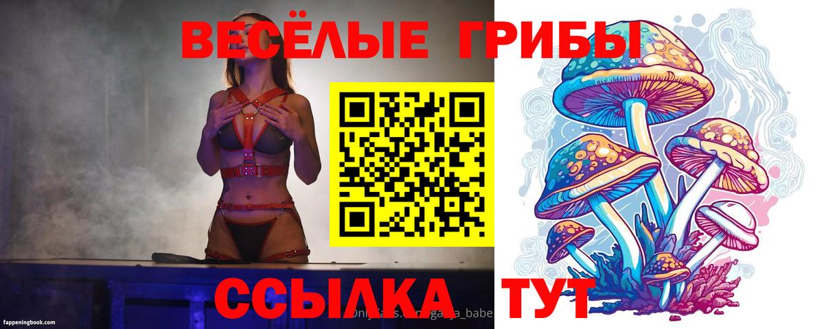 Сорочинск  Галлюциногенные грибы прущие грибы  Вход с VPN  Псилоцибиновые грибы мицелий 